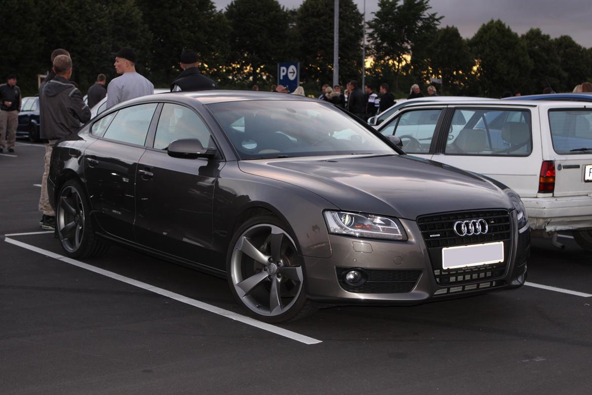 Striben København billede 34