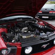 Bilmesser.dk MEET Hillerød 25-8-2012