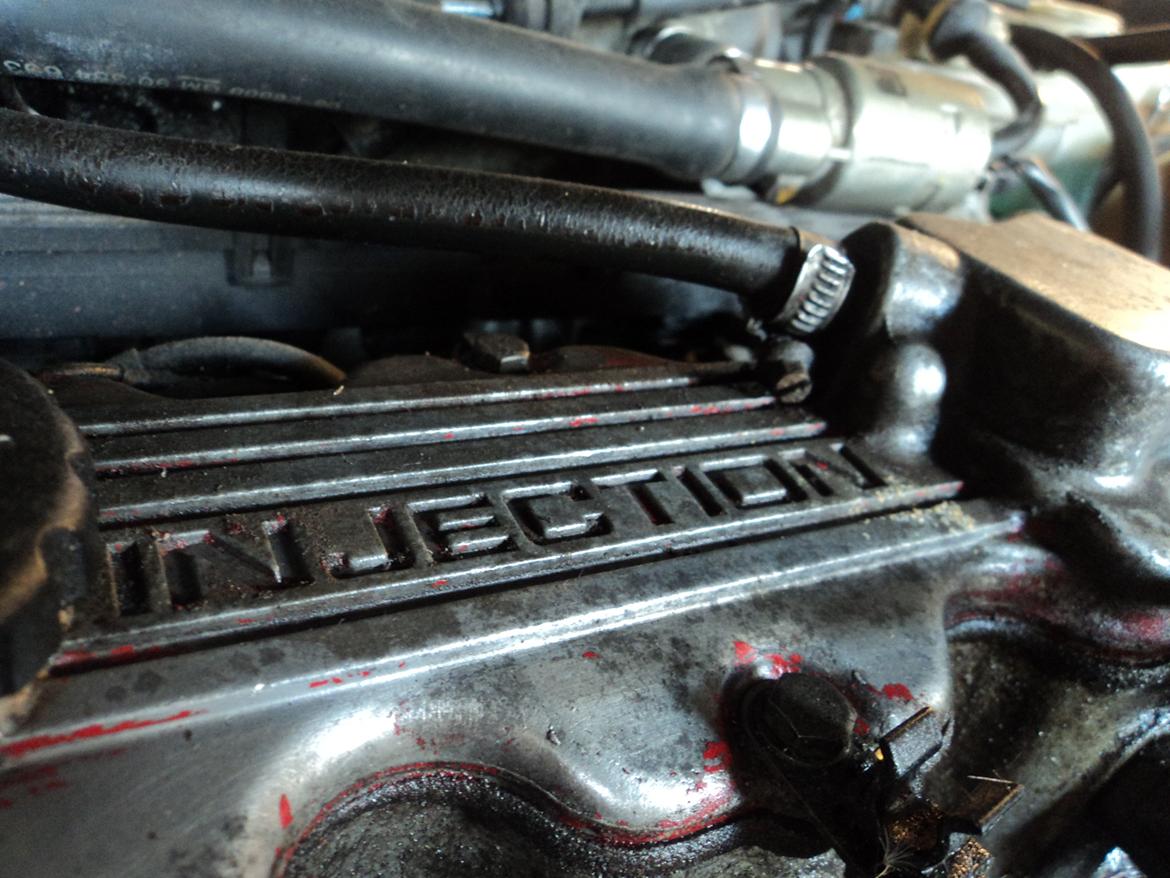 Close-up billeder billede 13