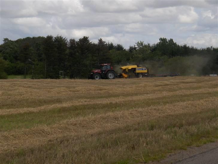 Høst billeder billede 4