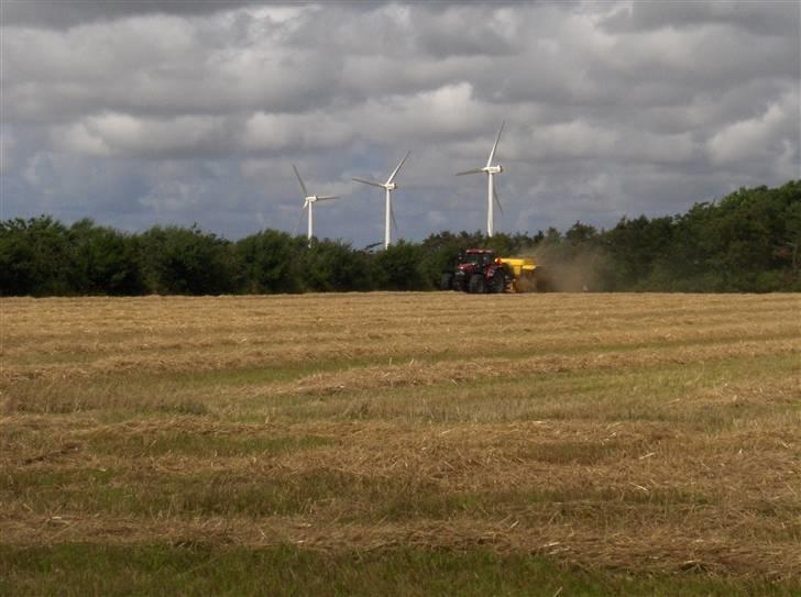 Høst billeder billede 5