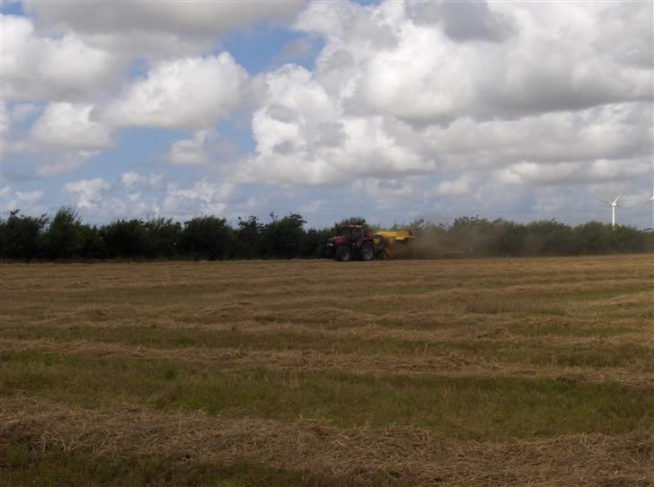 Høst billeder billede 6