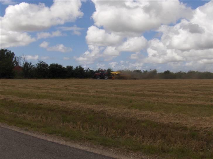 Høst billeder billede 7