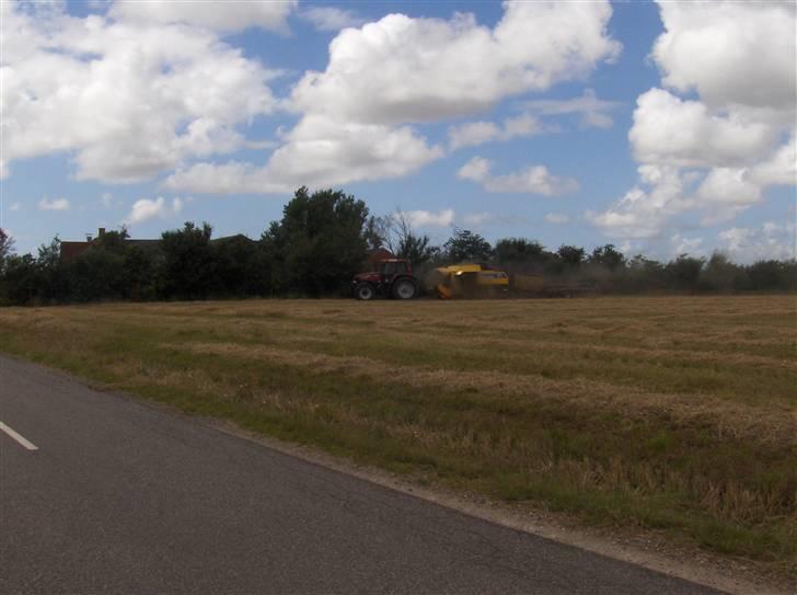 Høst billeder billede 8