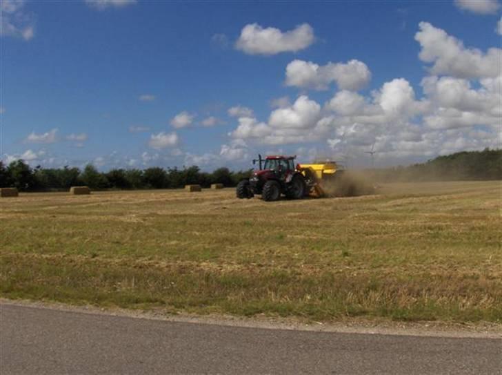 Høst billeder billede 9