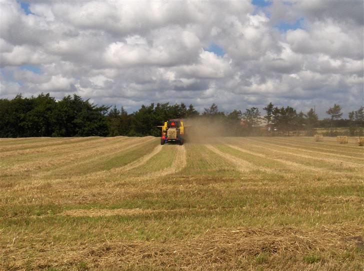 Høst billeder billede 11