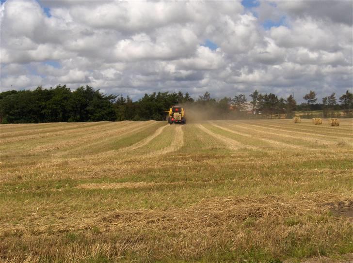 Høst billeder billede 12