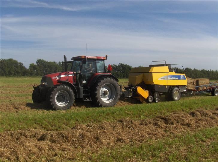 Høst billeder billede 15