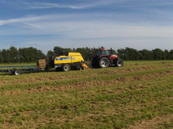 Høst billeder billede 18