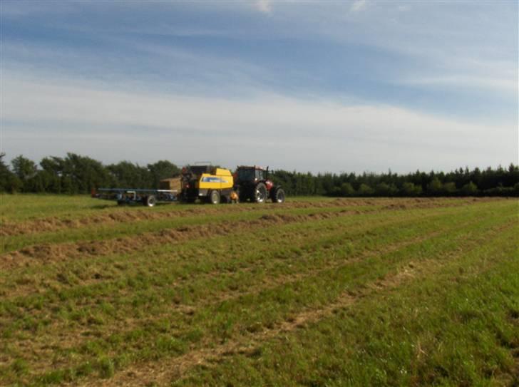 Høst billeder billede 19