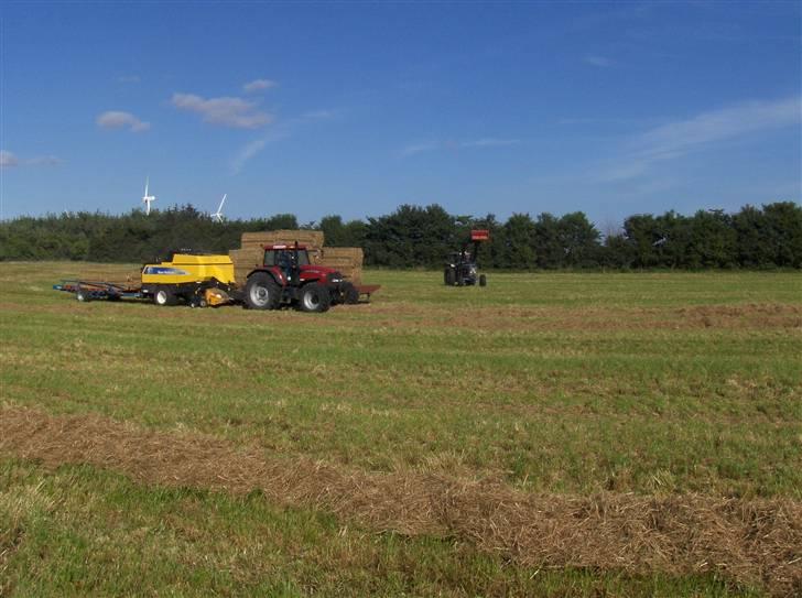 Høst billeder billede 20