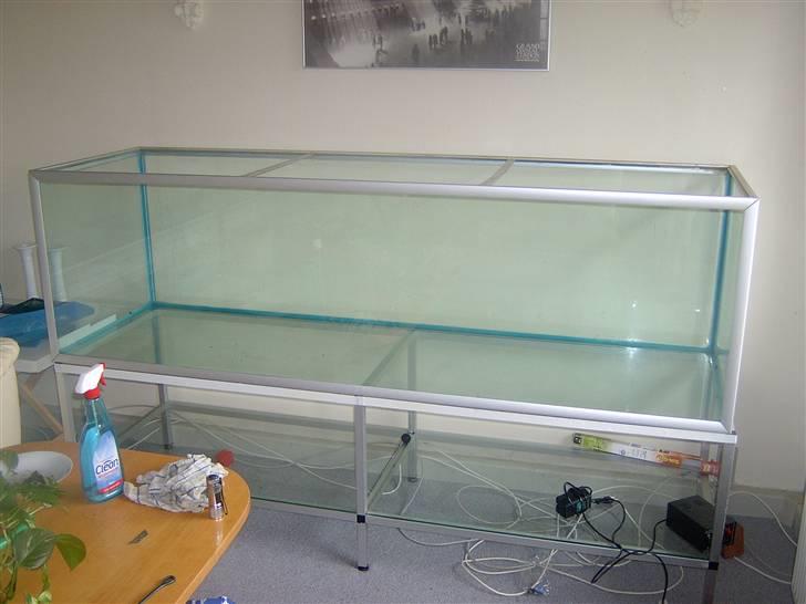 Opbygning af mit 720 L  - Så er akvariet tømt og rengjort med glasrens og afsprittet med husholdningssprit billede 2