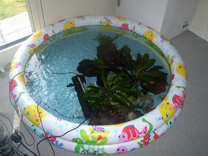 Opbygning af mit 720 L  - Fiskene er flyttet over i sønnens badebasin imens projektet står på billede 1