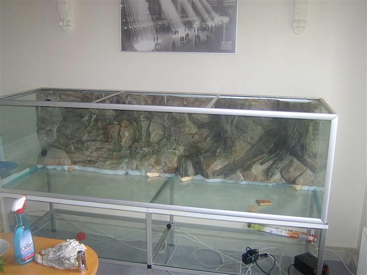 Opbygning af mit 720 L  - Så er baggrunden sat i og klodset op til kanten. Det er nødvendigt for at vandet ikke skal kunne komme over i den sektion hvor pumpen sidder, da ellers vil den bare recikulere vandet udenom filteret. billede 6