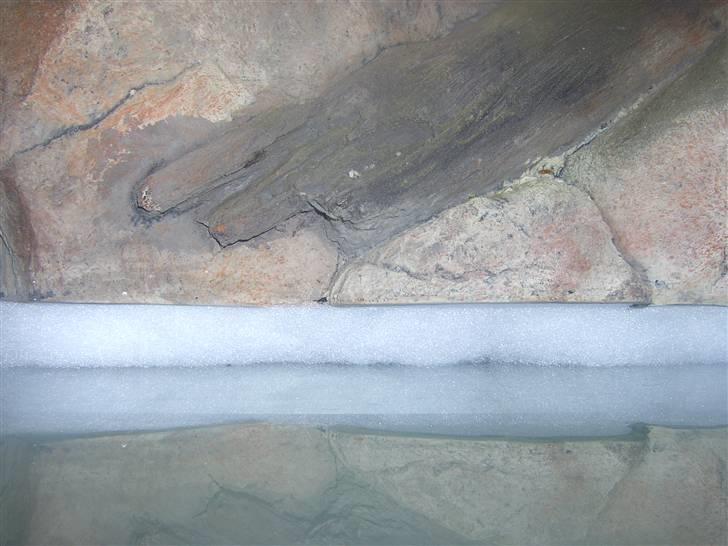 Opbygning af mit 720 L  - Her ses vattet. Det ligger ca 1cm under. Så er der rigeligt plads til siliconen, som trykker vattet lidt sammen så der bliver ca 1½ til 2 cm dyb fuge. billede 8