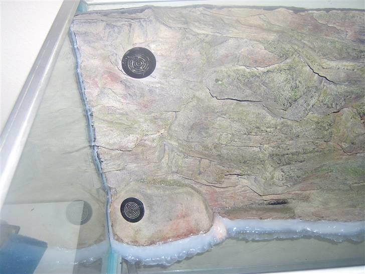 Opbygning af mit 720 L  - Så blev det grove lavet. Det ser volsomt ud, men stenene kommer til at dække det. Men er nu også lidt utilfreds med højden af baggrunden da den er købt til et 720L. Men det går, for der er limet støtter på bagsiden så den ikke bliver trykket ind af det vandtryk der opstår. billede 10