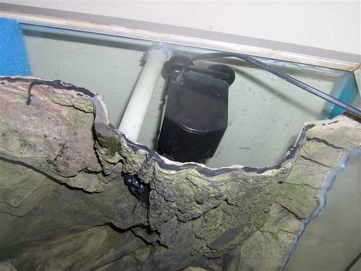 Opbygning af mit 720 L  - Powerhead sat op. Her ses også en af de stiver der er for at holde baggrunden på plads. Hertil kommer der et Aqua Medic titanium varmelegeme, 500w med T- Controller fra Aqua Medic. billede 14