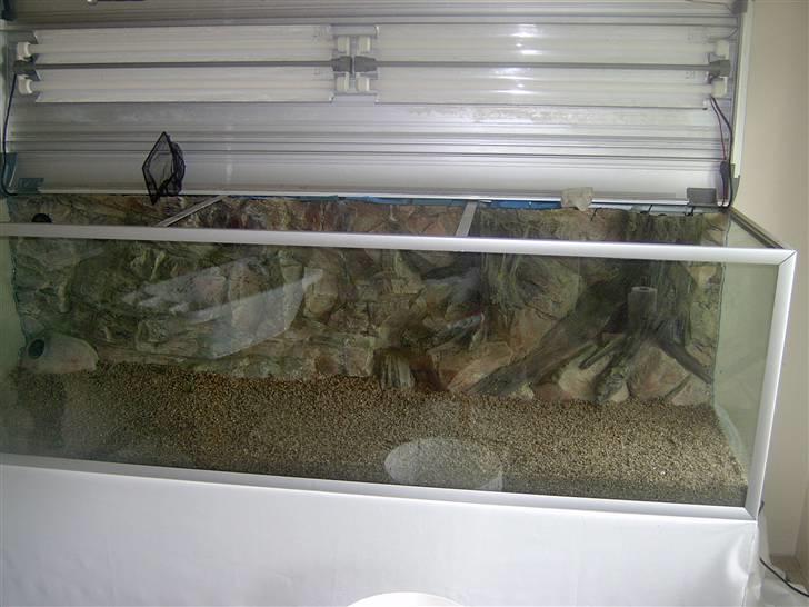 Opbygning af mit 720 L  - Så er der gået en uge, og med en silicone der tørre 2mm i døgnet skulle det være sikkert at begynde etablere akvariet. Så stenene kommer i. Det er 2-4mm lyse sten der er valgt. Jeg har efter samtale med akvaristen i Hjørring valgt Aqua Glo med 18.000 Kelvin da de både er til fisk og planter. billede 15