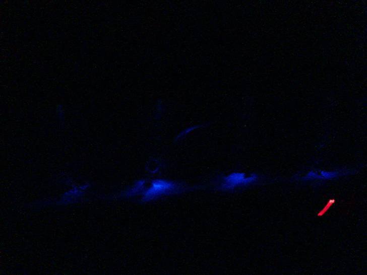 Opbygning af mit 720 L  - Billeder af det blå moonlight. Tæt på billede 18