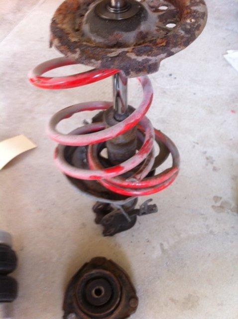 Carina E-xtreme - Nej Hr. Synsmand. De har det fint... -skåret sam han sagde, men også knækket billede 54