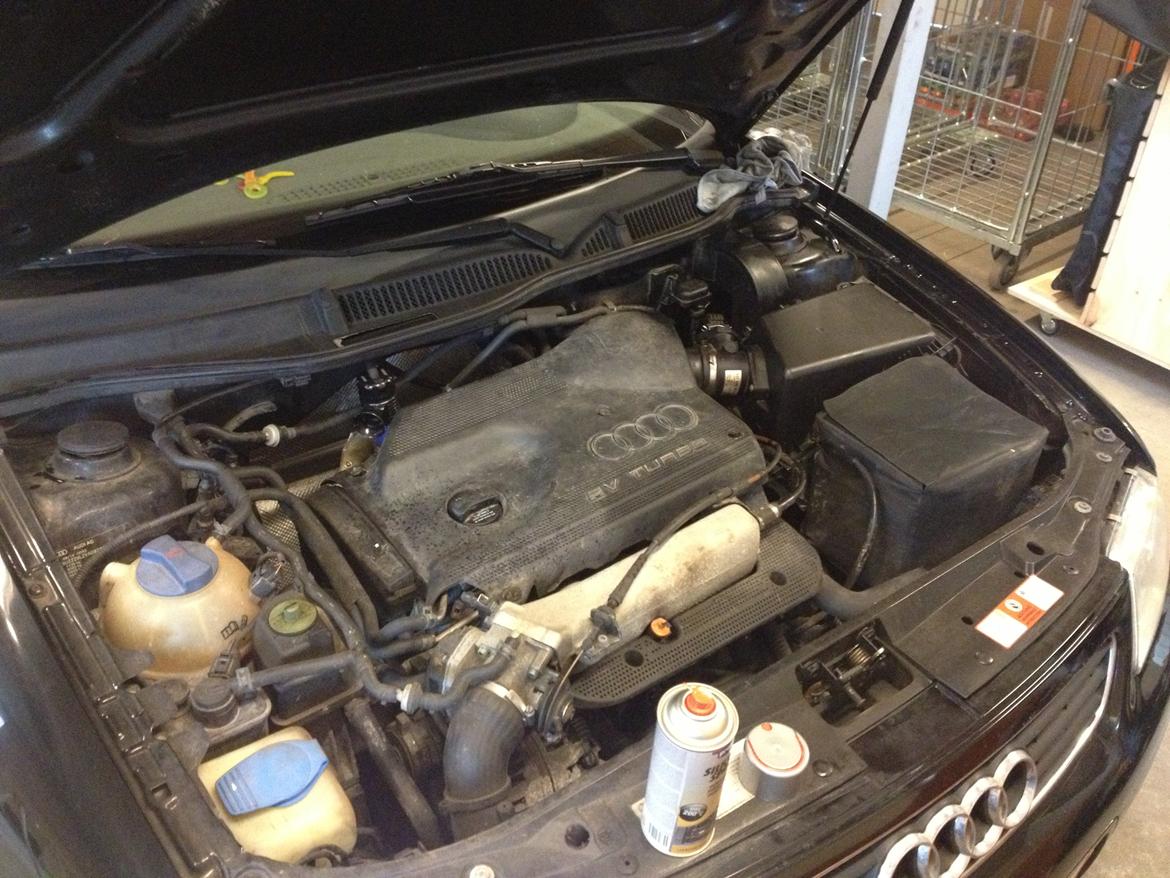 Audi A3 Airrider projekt - fra start til slut!!  - Motorrummet har aldrig set en omgang rengøring, så jeg røg i t-hansen og købte noget silicone spray og gik eller igang med en fiberklud, resultatet ses på næste billede. billede 3