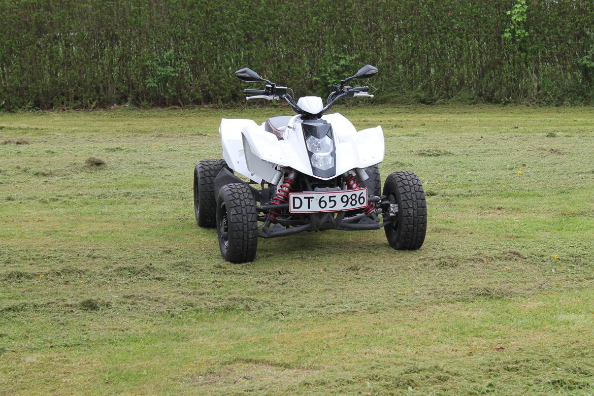 Min ATV Hyosung TE 450 ss  billede 1