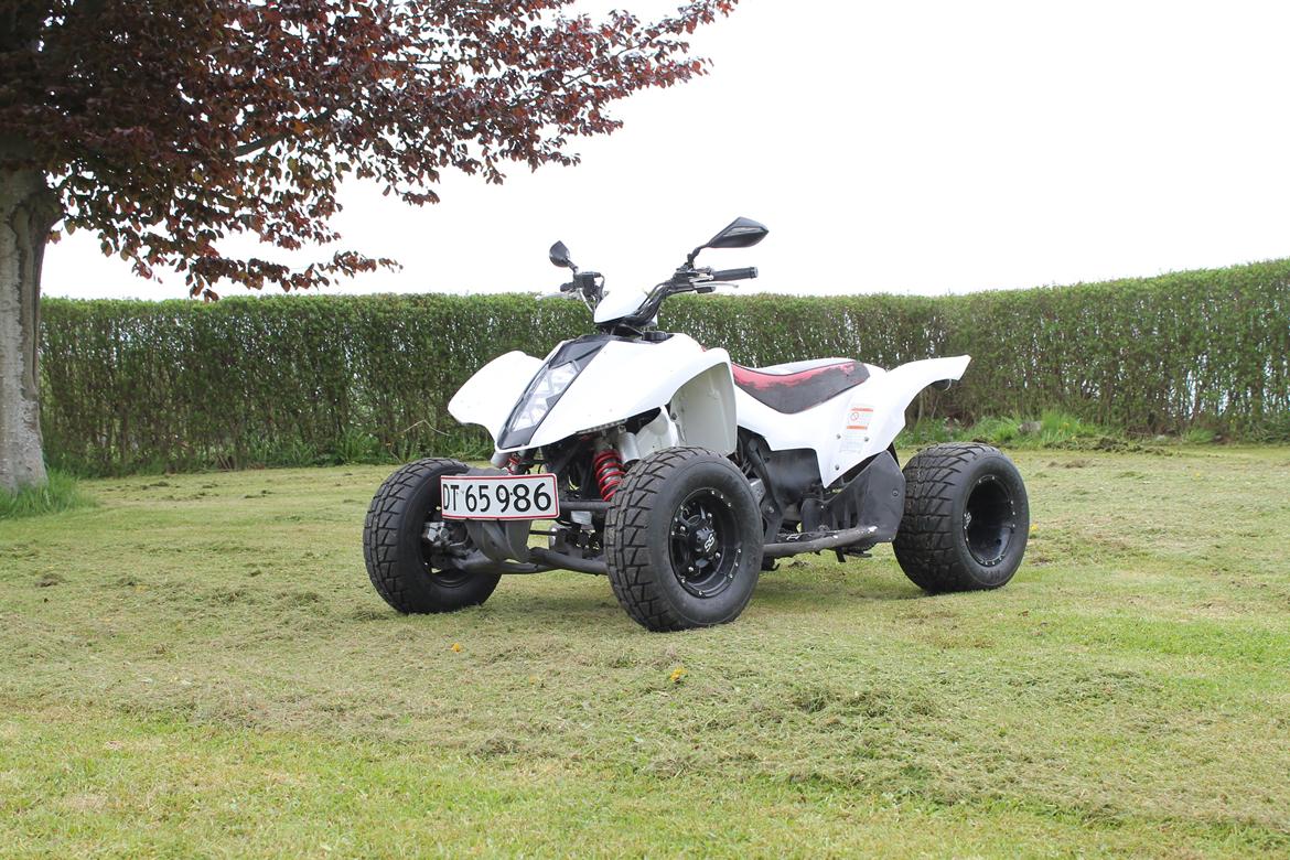 Min ATV Hyosung TE 450 ss  billede 7