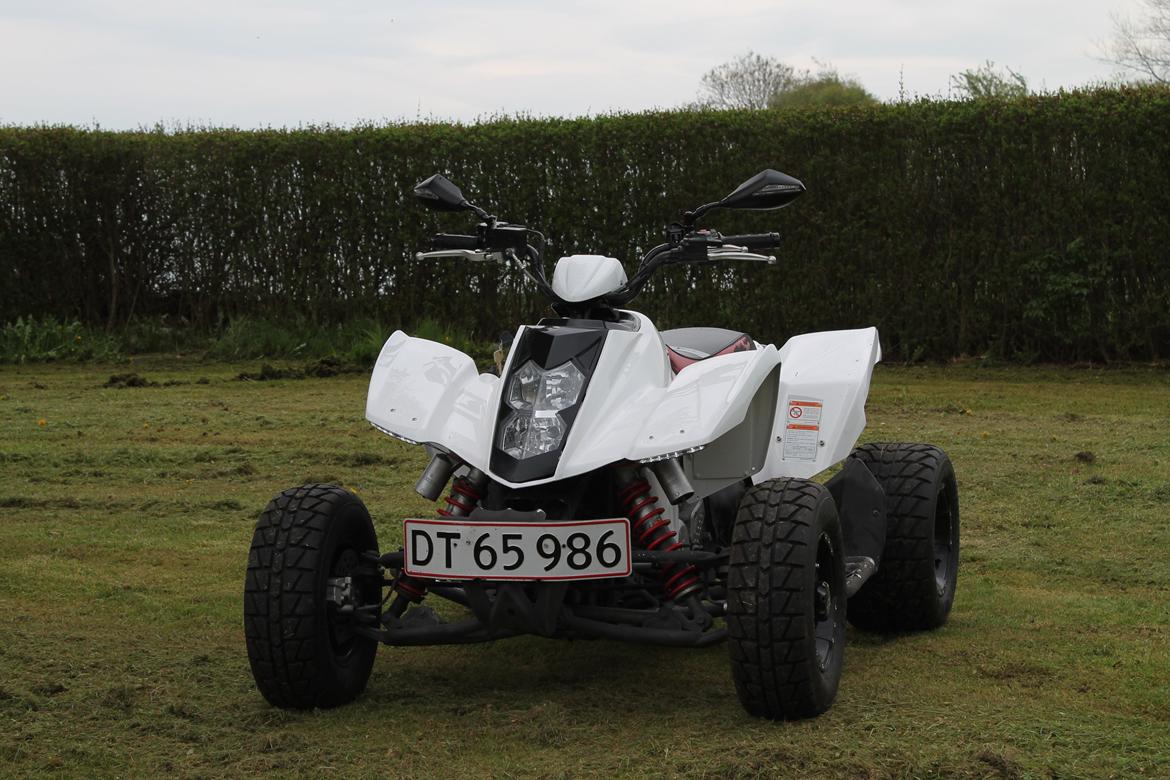Min ATV Hyosung TE 450 ss  billede 10