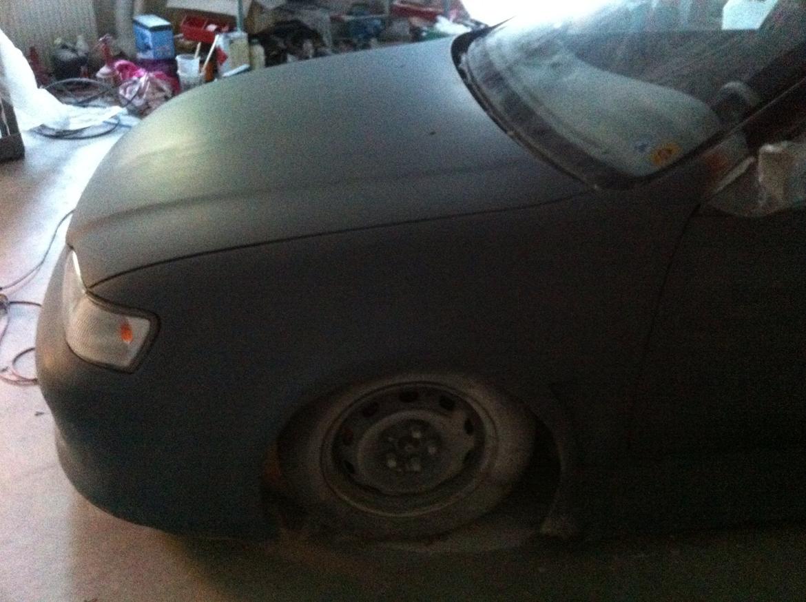 Carina E-xtreme billede 76