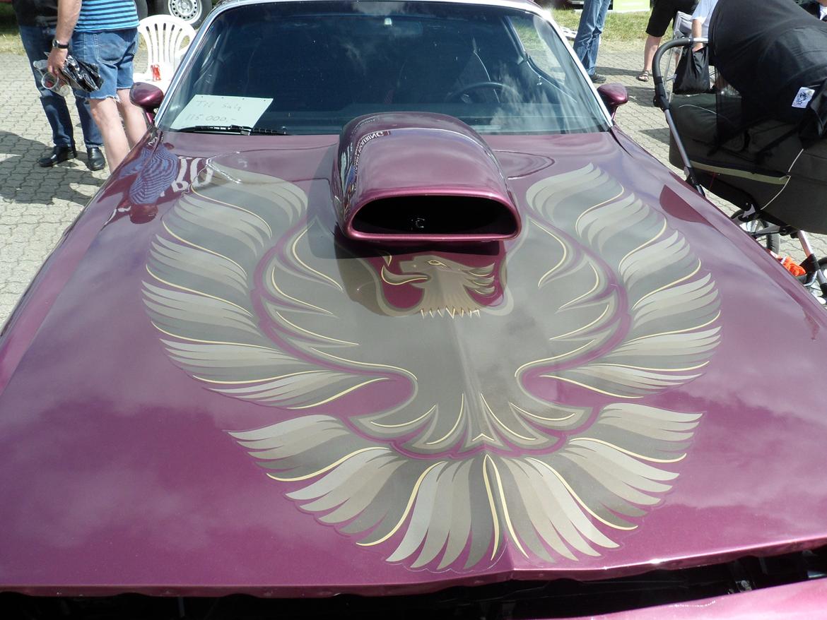 Euromaster`s 1 års fødselsdags i Grenå billede 33