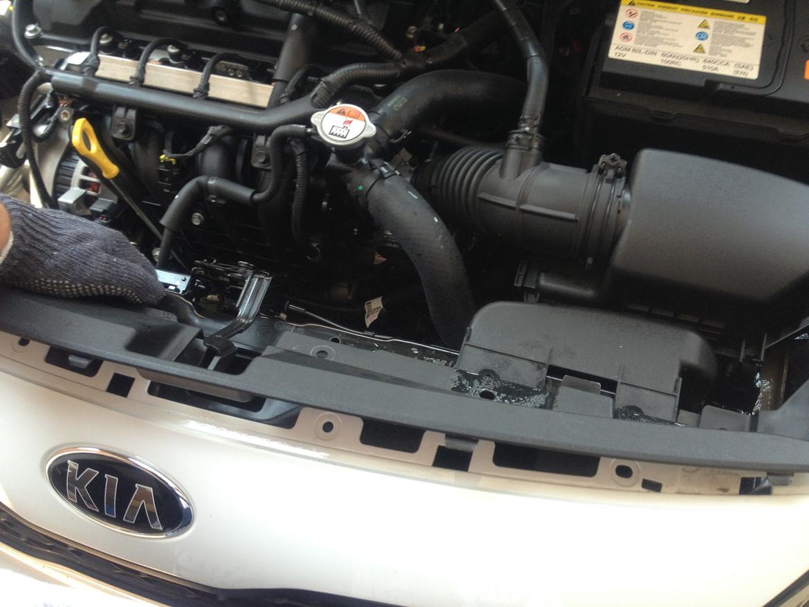 Kia Rio - LED lys montering  - Så er den sorte af, og de sorte "nitter" dukker op på den hvide kølergrill som IKKE kan afmonteres da den er en del af forkofangeren. billede 3