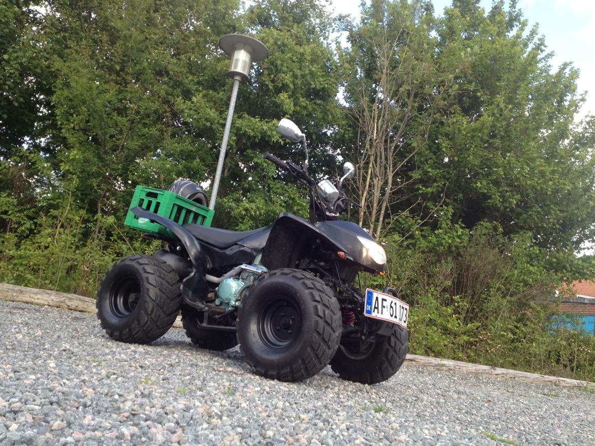 ATV PÅ NUMMER PLADER billede 16