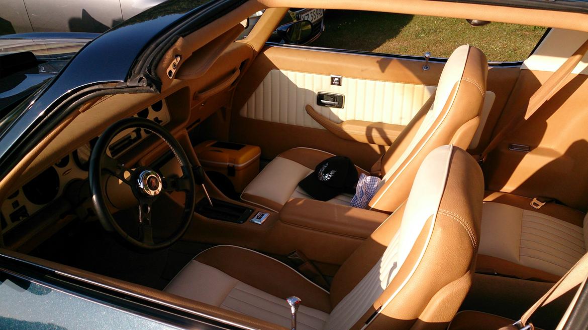 Tørskind Grusgrav - Veterantræf - Pontiac Trans Am billede 12