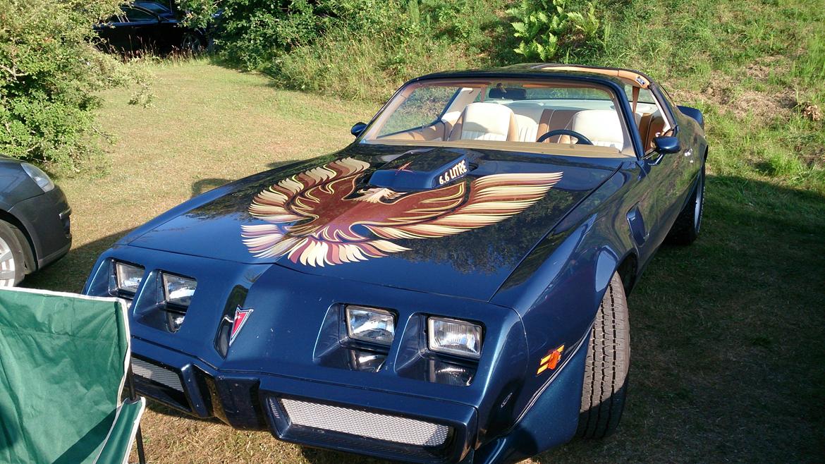 Tørskind Grusgrav - Veterantræf - Pontiac Trans Am billede 11