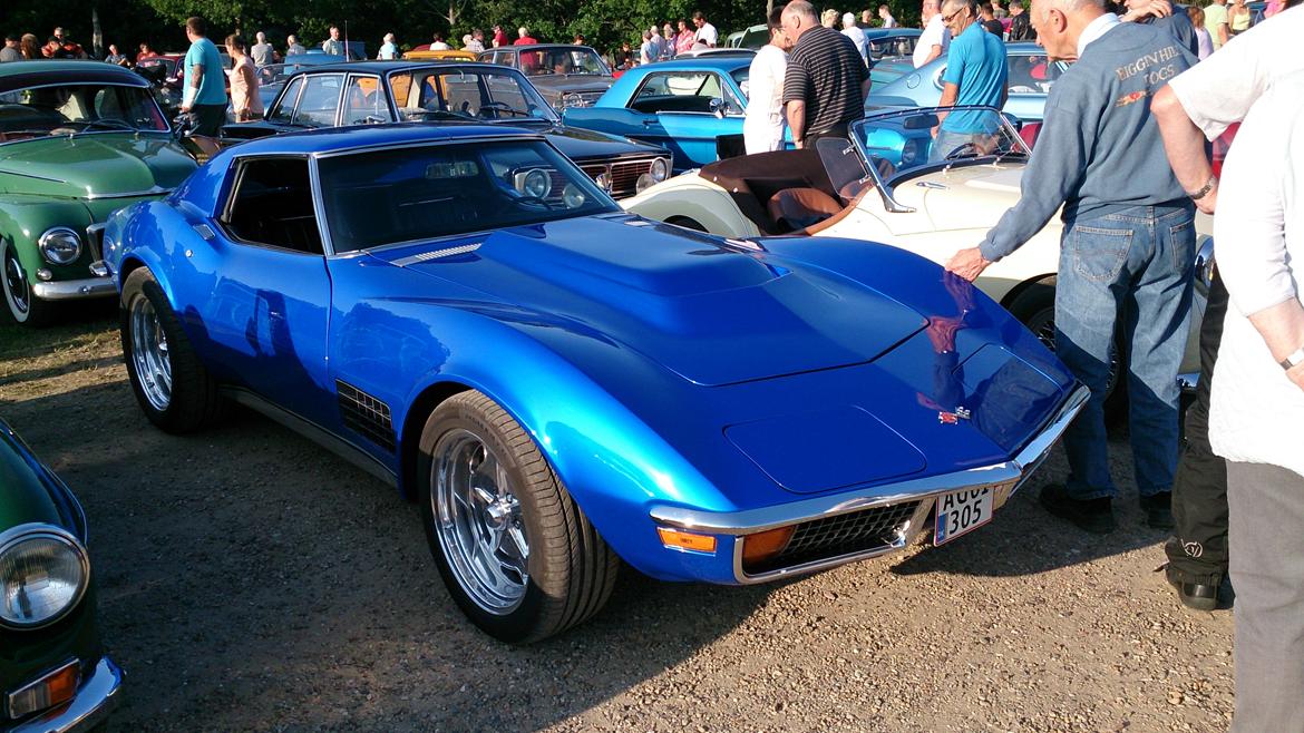 Tørskind Grusgrav - Veterantræf - Corvette Stingray billede 22