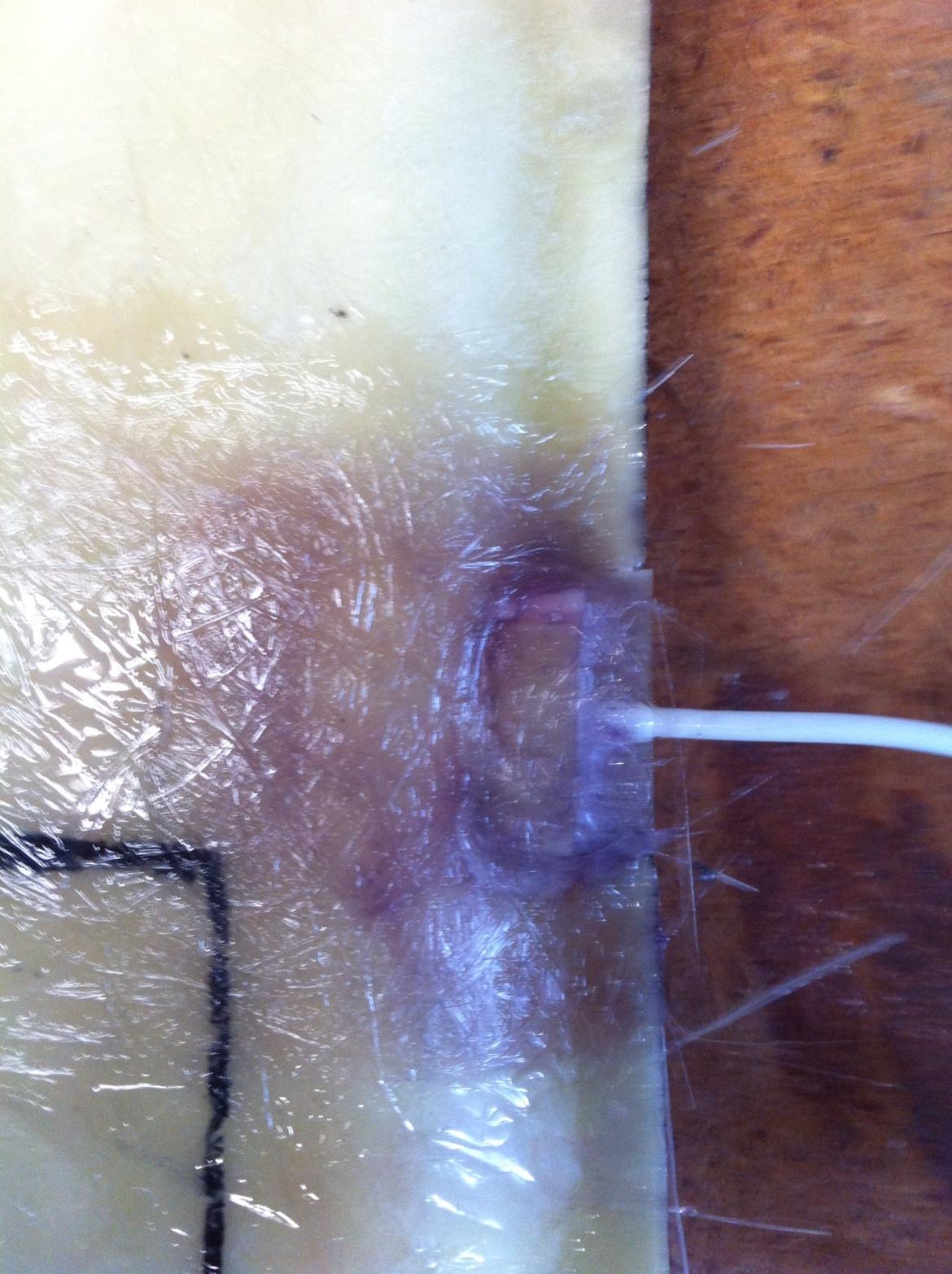 Carina E-xtreme billede 109