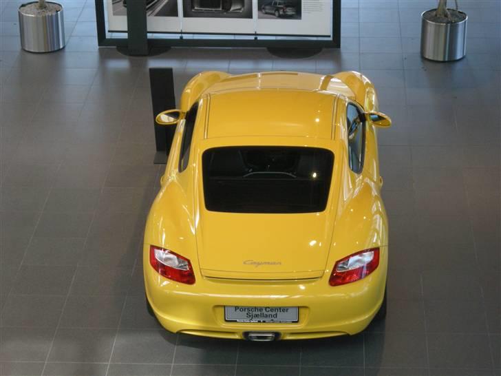 Porsche Center Sjælland + resten af Banevingen billede 48