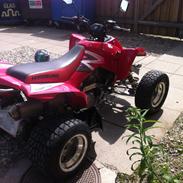 Min gamle bil (ATV / Quad)