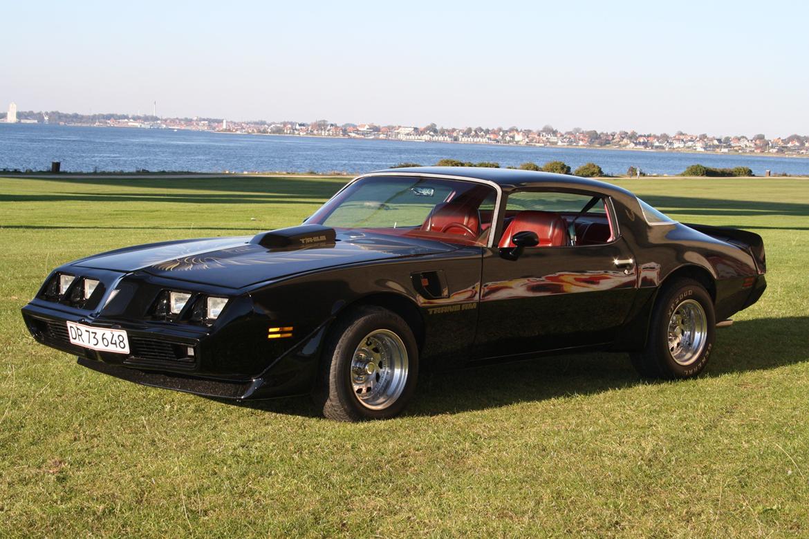 Min trans am billede 10