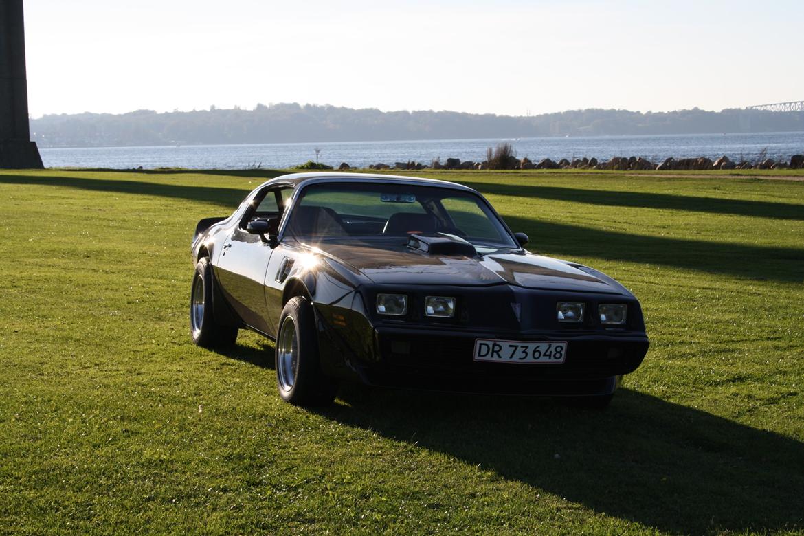 Min trans am billede 11