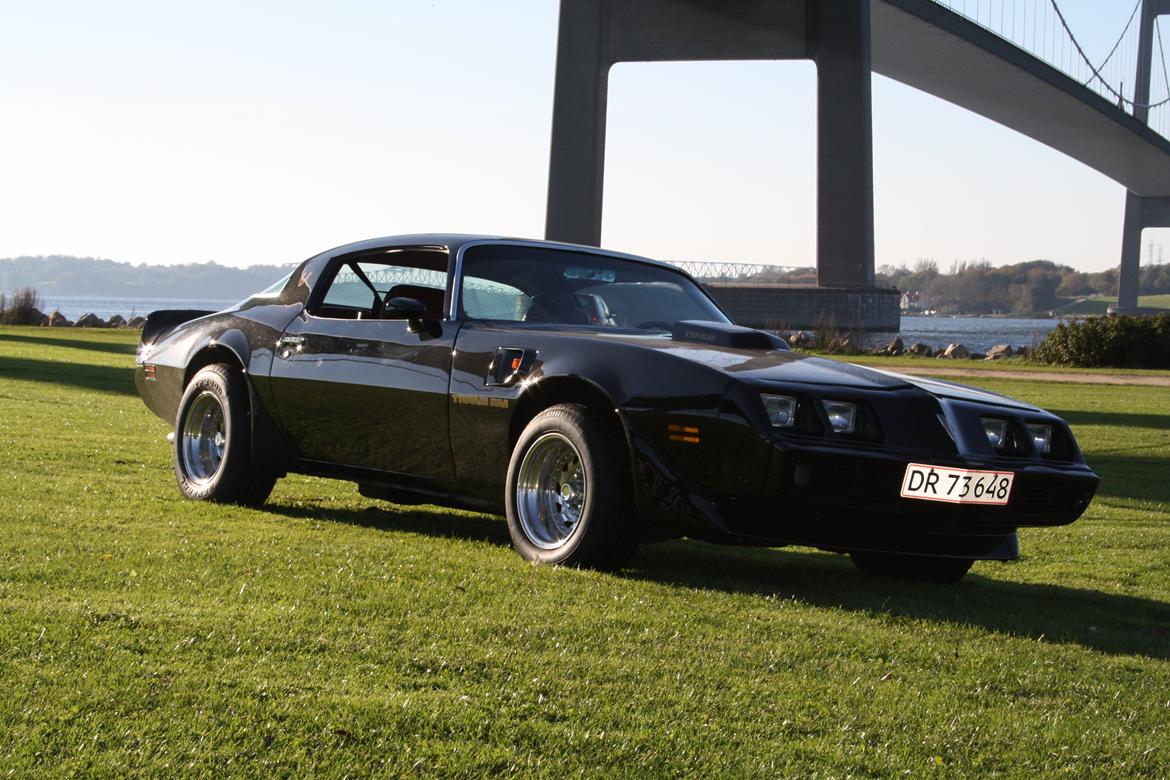 Min trans am billede 12