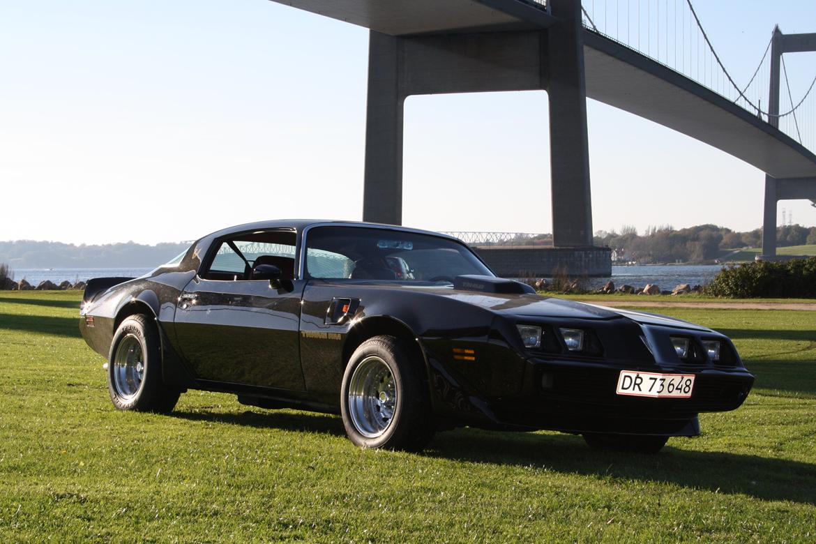 Min trans am billede 13