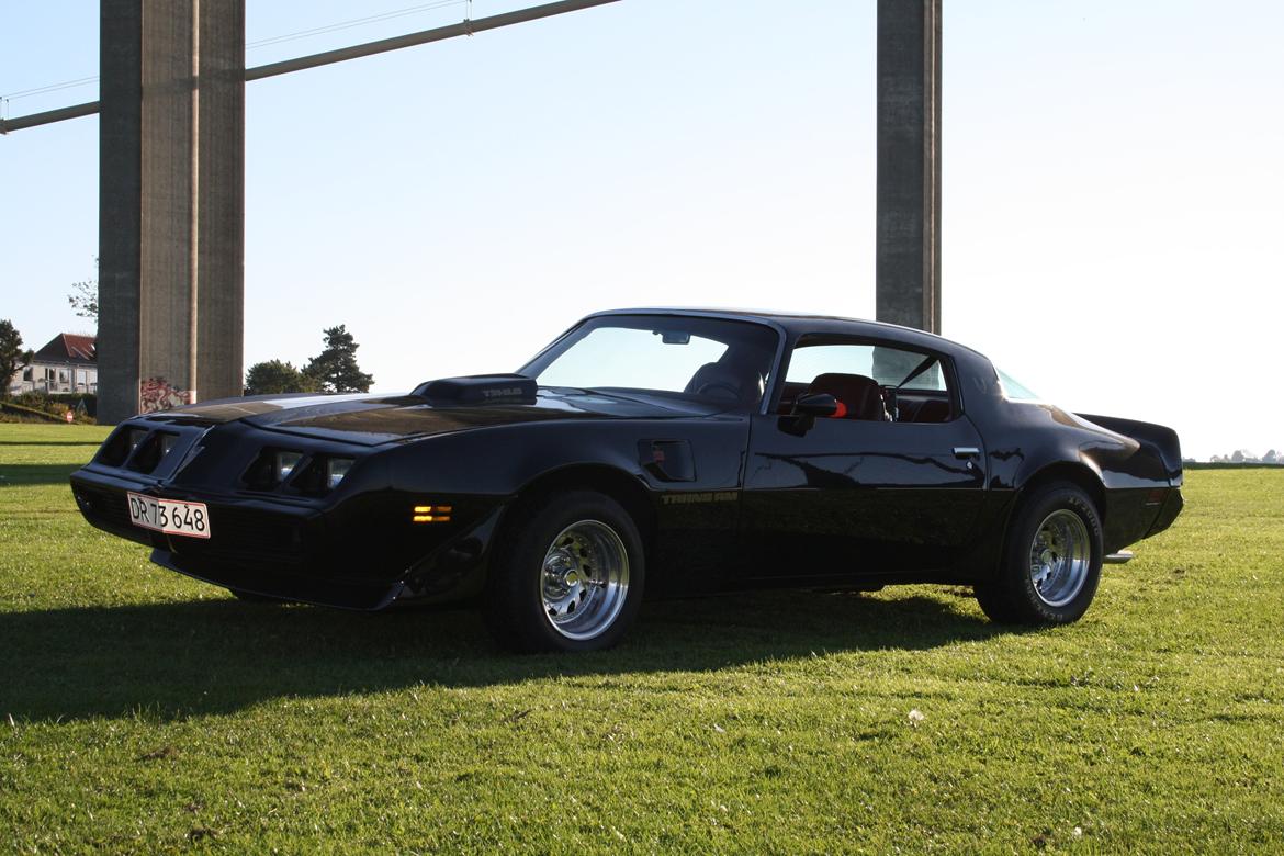 Min trans am billede 15