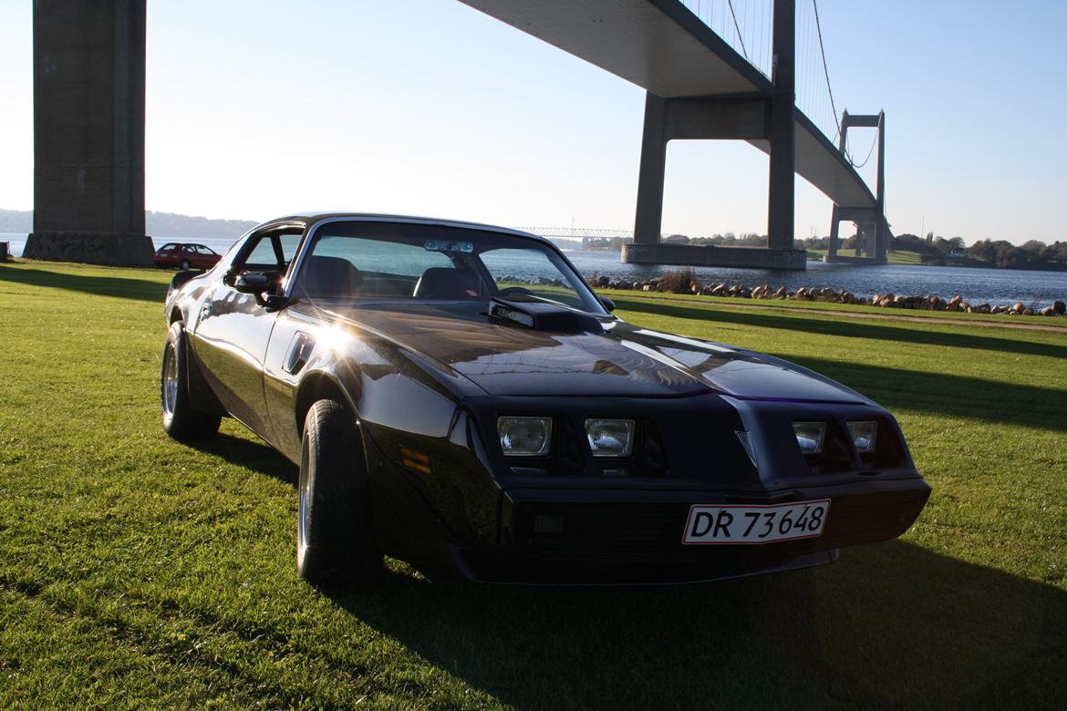 Min trans am billede 16