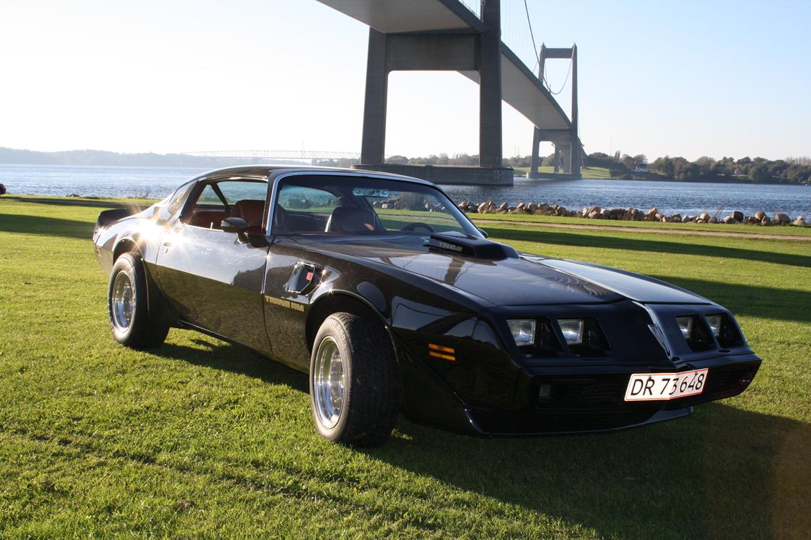 Min trans am billede 17