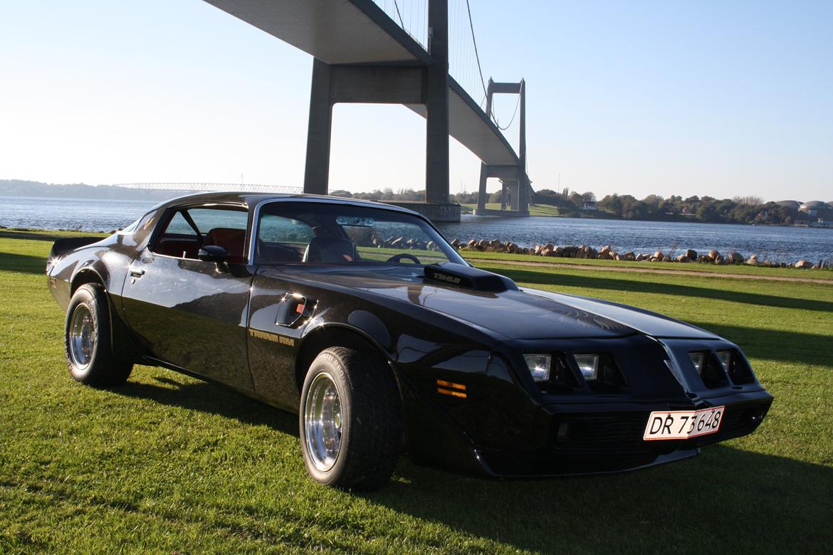 Min trans am billede 18