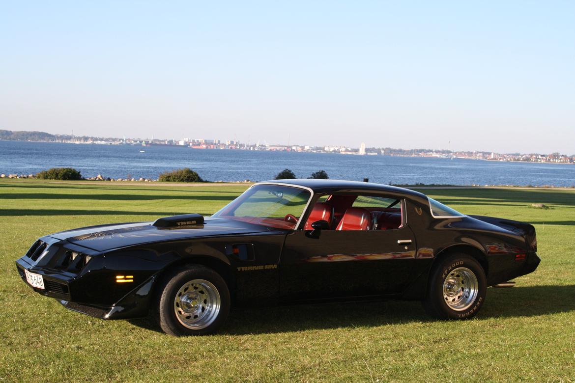 Min trans am billede 24