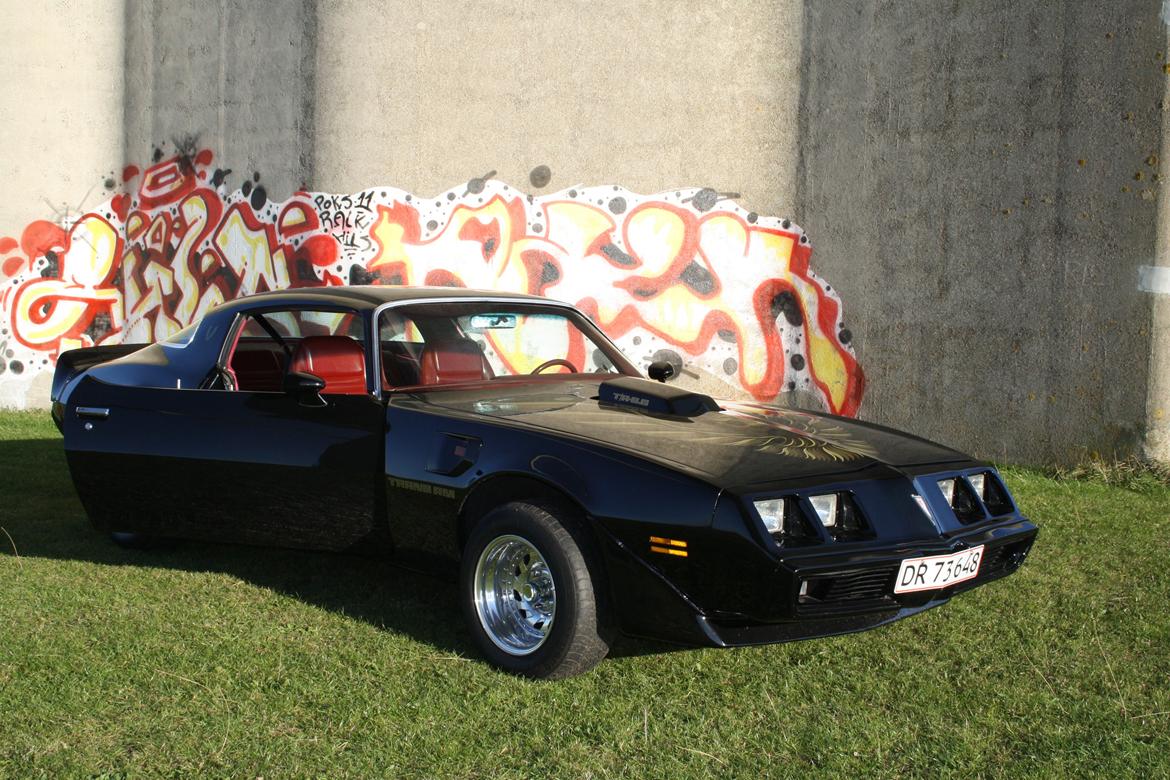 Min trans am billede 29