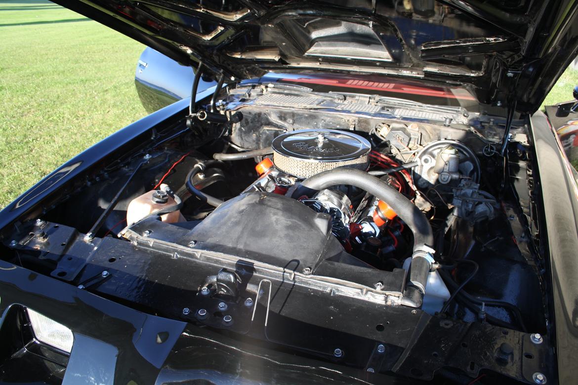 Min trans am billede 30