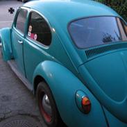 VW bobbel renovering